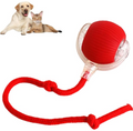 Smart Automatic Rolling Pet Ball — Interactive Cat Toy