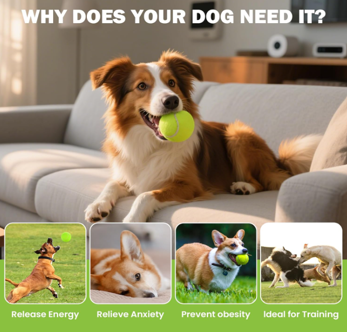 30-Pack Dog Tennis Balls 2.5 Inch — Launcher Compatible with Mesh Storage Bag