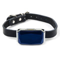 GPS Pet Tracker Collar — Real-Time Location via App