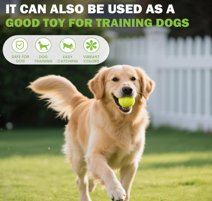 30-Pack Dog Tennis Balls 2.5 Inch — Launcher Compatible with Mesh Storage Bag