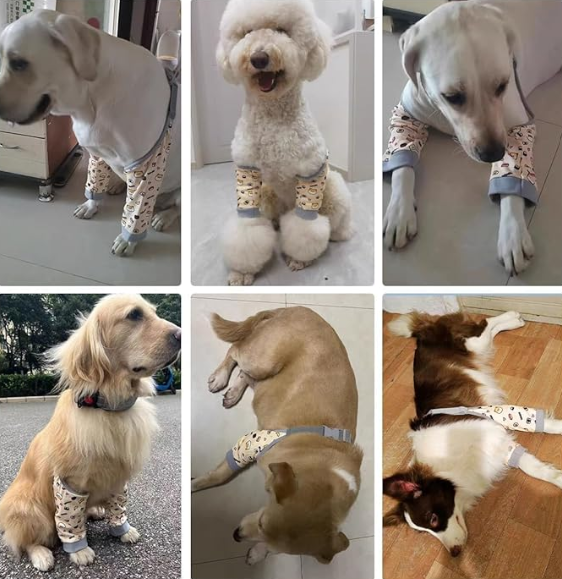 Dog Knee & Elbow Protector Pad — Joint Support Wrap for Medium & Large Dogs